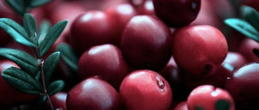 Health Benefits of Cranberry Powder and Extract