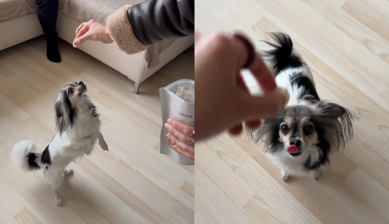 Mazie ikdienas brīži veido lielāko saikni starp Tevi un Tavu mīluli 🐾❤️